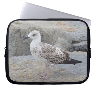 Baby Seagull Neopren Laptop-Sieb 30 cm Laptopschutzhülle