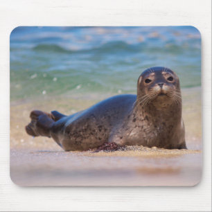 Baby Seehund im Wasser Mousepad