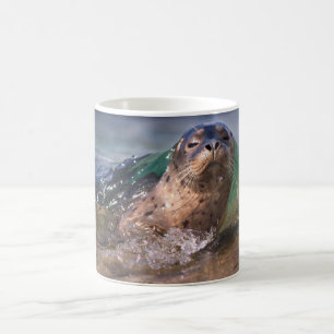 Baby Seehund Kaffeetasse