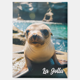 Baby Seelöwe La Jolla California Postkarte Magnet