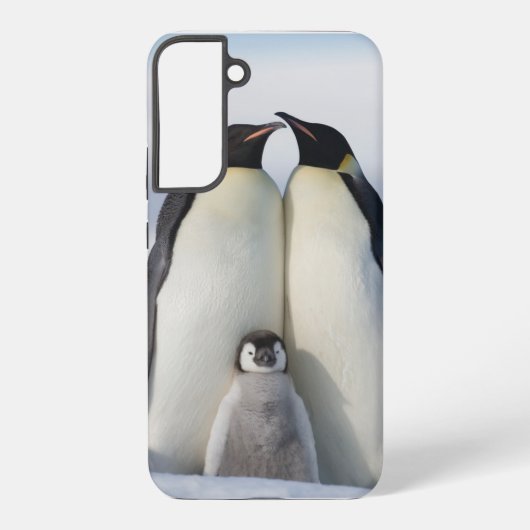 Baby seine kalte Pinguin Samsung Galaxy Gehäuse Samsung Galaxy Hülle (Rückseite)