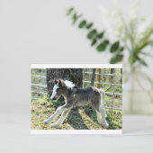 Baby Shaolin 2 Postkarte (Stehend Vorderseite)