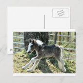 Baby Shaolin 2 Postkarte (Vorne/Hinten)