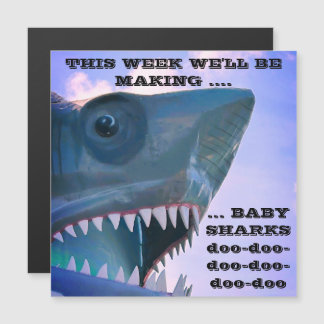 BABY SHARKS CRUISES TÜR MAGNET