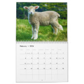 Baby Sheep Lamb 2022 Kalender (Feb 2026)