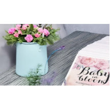 Baby Shower Baby in Bloom Boho Blume & Feathers