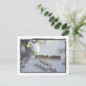 Baby Shower Boy Postcard Einladungspostkarte (Stehend Vorderseite)