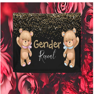 Baby Shower Teddy Gender Offenlegung Einladung Banner