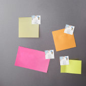 Baby Showteddy Bär Pampas Gras Blau Junge Magnet