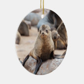 Baby Siegel auf Rock Keramik Ornament (Rechts)