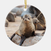Baby Siegel auf Rock Keramik Ornament (Vorne)