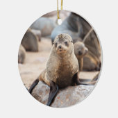 Baby Siegel auf Rock Keramik Ornament (Links)