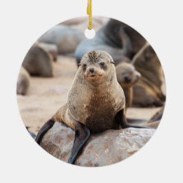 Baby Siegel auf Rock Keramik Ornament