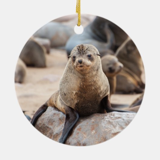 Baby Siegel auf Rock Keramik Ornament (Hinten)