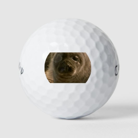 Baby Siegel gegenüber Golfplätzen Golfball (Vorderseite)