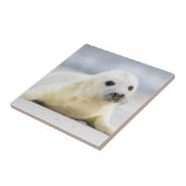 Baby-Siegel Getty Bild-| Fliese (Seite)