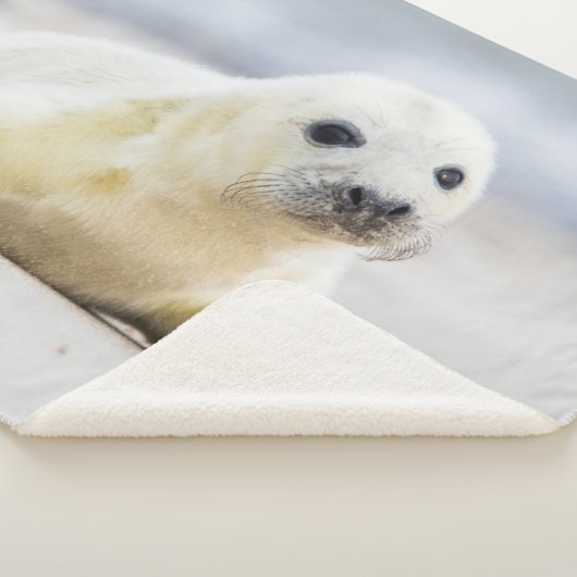 Baby-Siegel Getty Bild-| Sherpadecke (3/4)