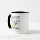 Baby-Siegel Getty Bild-| Tasse (Vorderseite Links)