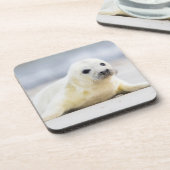 Baby-Siegel Getty Bild-| Untersetzer (Linke Seite)