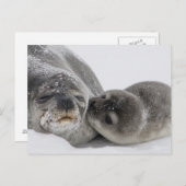 Baby Siegel Kissing Mama Postkarte (Vorne/Hinten)
