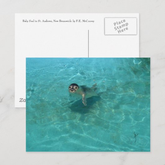 Baby Siegel Postkarte (Vorne/Hinten)