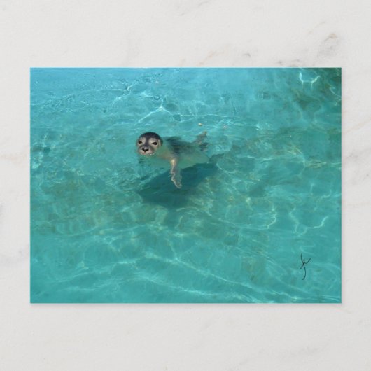 Baby Siegel Postkarte (Vorderseite)