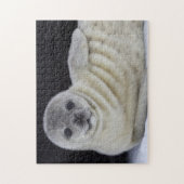 Baby Siegel Smile Puzzle (Vertikal)