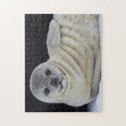 Baby Siegel Smile Puzzle (Vertikal)