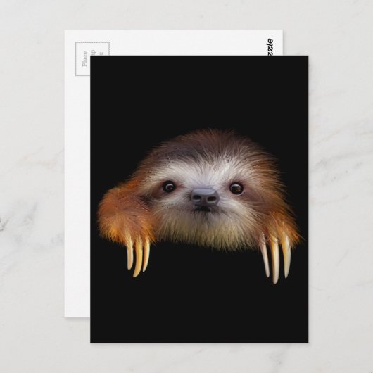 Baby Sloth Postkarte (Vorne/Hinten)