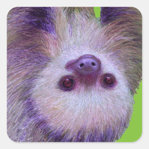 Baby Sloth Quadratischer Aufkleber