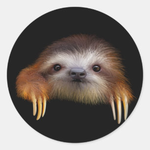 Baby Sloth Runder Aufkleber