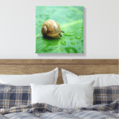 Baby Snail Leinwanddruck (Insitu (Schlafzimmer))