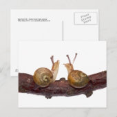 Baby Snail Talk Postcard Postkarte (Vorne/Hinten)