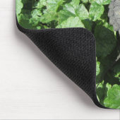 Baby Snapping Turtle Mousepad (Ecke)