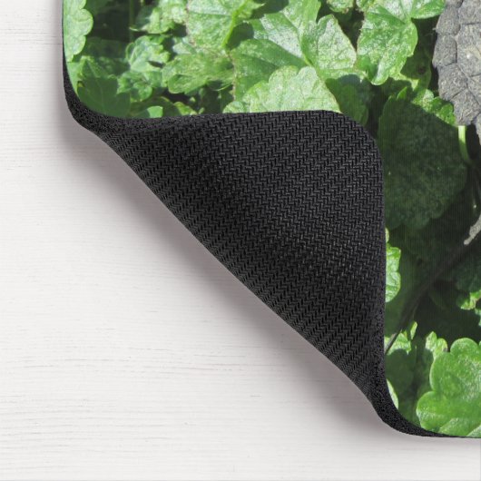 Baby Snapping Turtle Mousepad (Ecke)