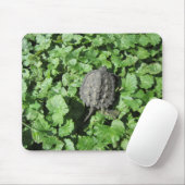 Baby Snapping Turtle Mousepad (Mit Mouse)