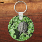 Baby Snapping Turtle Schlüsselanhänger (Vorderseite)