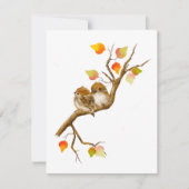 Baby Sparrow Birds Blank Notecards Dankeskarte (Vorderseite)