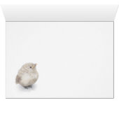 Baby Sparrow Digital Watercolor (Innenansicht Horizontal (Unten))