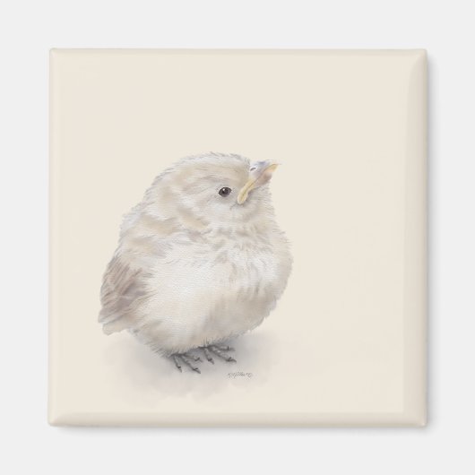 Baby Sparrow Digital Watercolor Magnet (Vorne)