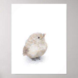 Baby Sparrow Digital Watercolor Poster