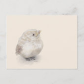 Baby Sparrow Digital Watercolor Postkarte (Vorderseite)