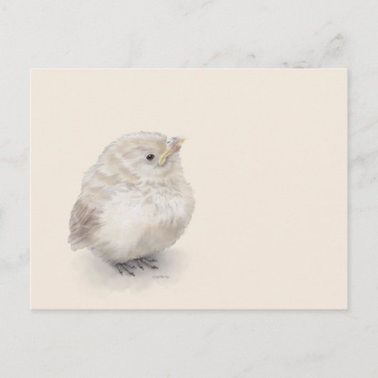Baby Sparrow Digital Watercolor Postkarte (Vorderseite)