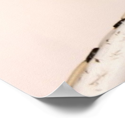 Baby Sparrow Poster (Ecke)