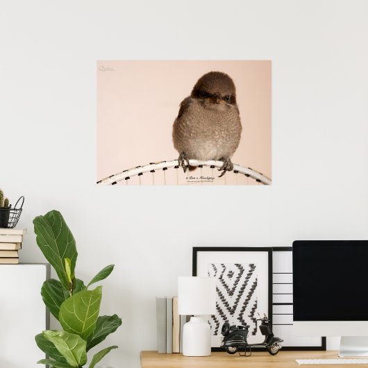 Baby Sparrow Poster (Heimbüro)