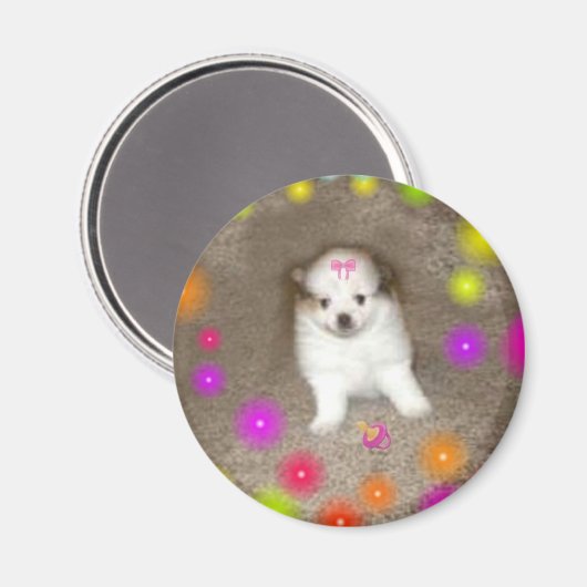Baby Spitz Magnet (Vorderseite/Rückseite)