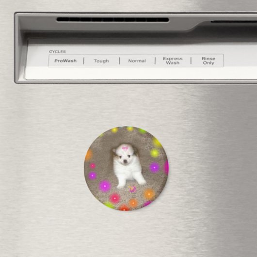 Baby Spitz Magnet (In Situ (Geschirrspüler))