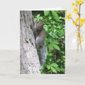 "Baby Squirrel Card" Karte (Gelbe Blume)