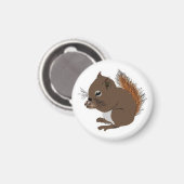 Baby Squirrel Magnet (Vorderseite/Rückseite)