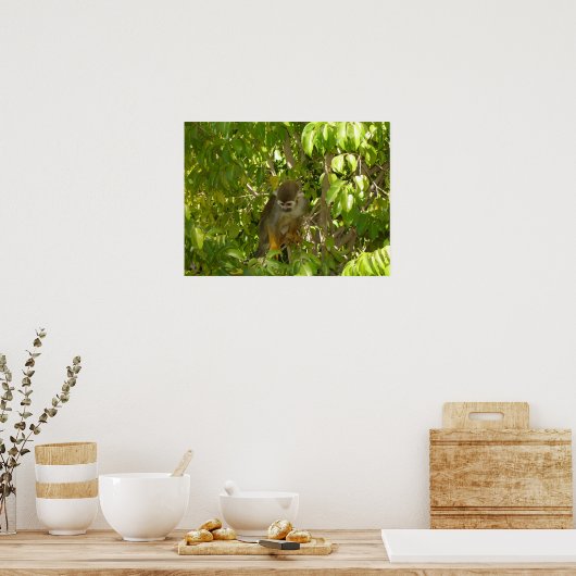 Baby Squirrel Monkey Poster (Küche)